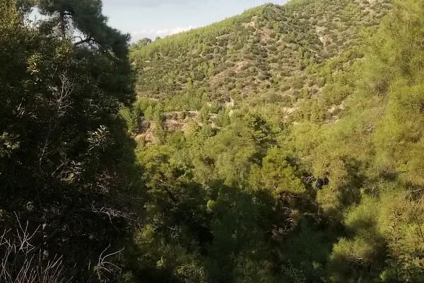Dogal Tatil yeri - Doğa Köşkü - Manisa Adnan Menderes Mahallesi