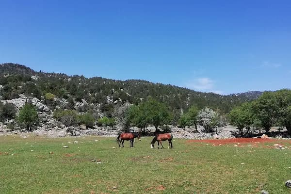 Susuzşahap - Yerleşim Yeri - Antalya Döşemealtı