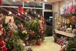 Mersin Can Flowers