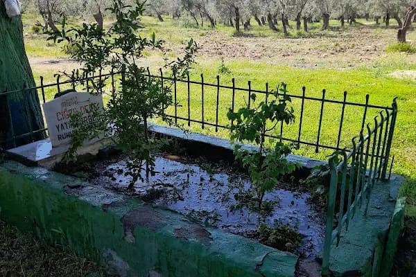 Ciğer Dede Türbesi - Kutsal Yer - Balıkesir Burhaniye