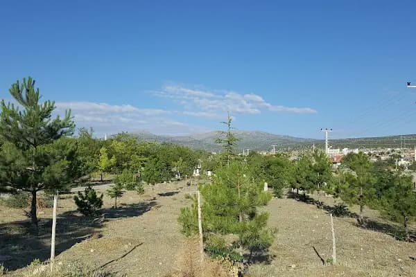 Akören Mezarlığı - Mezarlık - Konya Meram