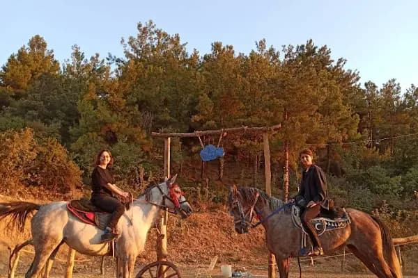 Spil Saruhanbey At Çiftliği - Binicilik Kulübü - Manisa Kırkağaç