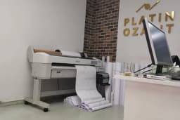 Platin Ozalit