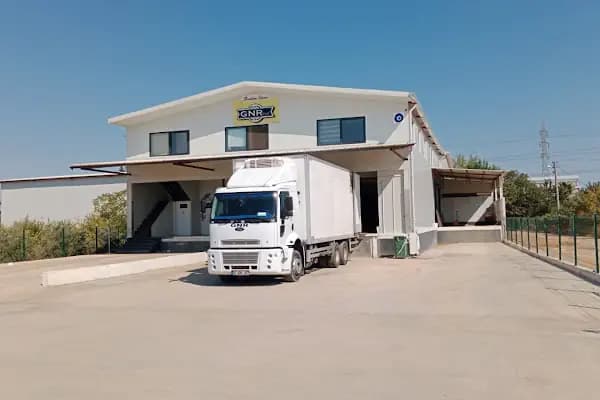 GNRFRUİT - Sebze ve Meyve Toptancısı - Antalya Aksu
