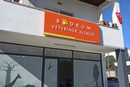 Bodrum Veteriner Kliniği