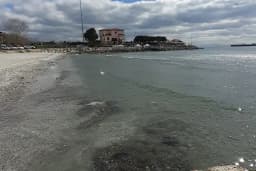 Avcılar