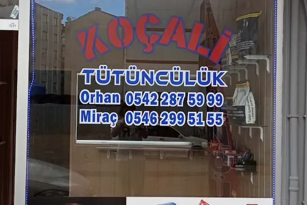 Koçali Tütüncülük - Tütüncü - Samsun 19 Mayıs