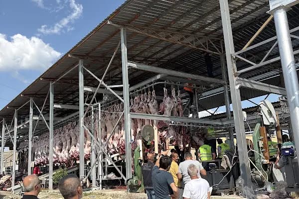 Naslı Kurban Çiftliği - Çiftlik Hayvanı Satıcısı - Ankara Altındağ