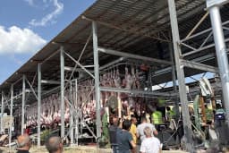 Naslı Kurban Çiftliği