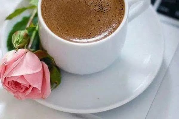 Zümrüt Pastanesi - Fırın - Gaziantep Nizip