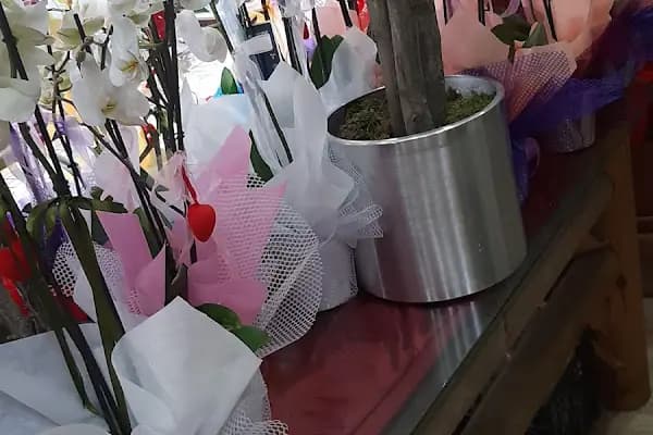 Gülcan Çiçek Bahçesi Avcılar - Çiçekçi - İstanbul Avcılar