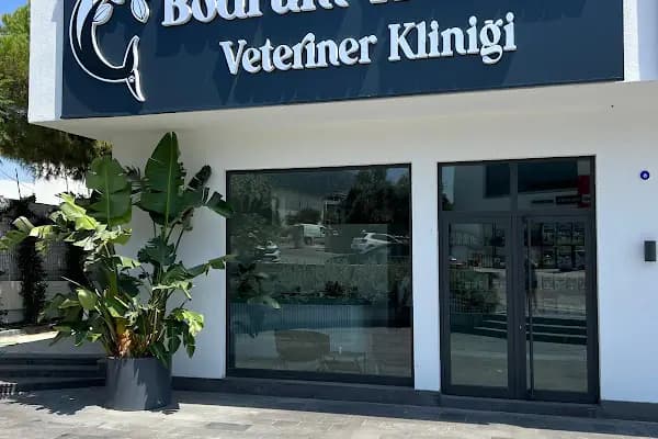 Bodrum Holistik Veteriner Kliniği - Veteriner - Muğla Bodrum