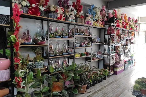 Gülcan Çiçekçilik Akçakale - Çiçekçi - Şanlıurfa Akçakale