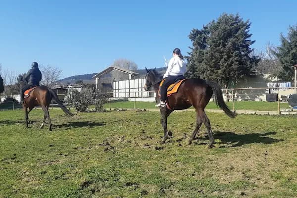 Polo Binicilik At Çiftliği - At Binme Hizmeti - İstanbul Çekmeköy