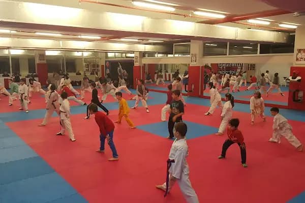 Mustafa Dağıstanlı Spor Salonu İlkadım - Spor salonu - Samsun 19 Mayıs
