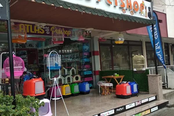 Atlas petshop 2 Bahçelievler - Evcil hayvan mağazası - Balıkesir Altıeylül