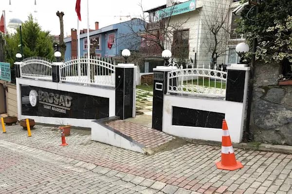 "BAGSAD" BAŞAKŞEHİR SANAT AKADEMİSİ / Müzik Aletleri - Müzik Okulu - İstanbul Pendik