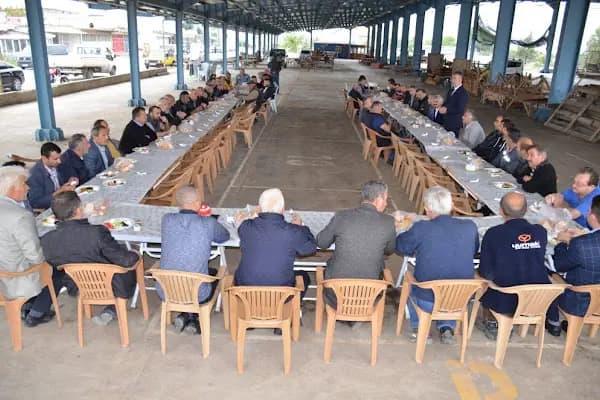 19 Mayıs Belediyesi - Belediye Binası - Samsun 19 Mayıs