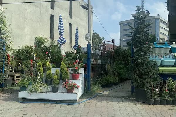 Bora Çiçek Galerisi - Çiçekçi - İstanbul Bağcılar