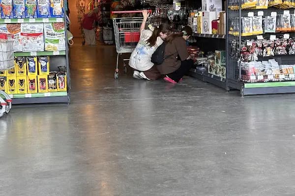 Petfabrikası - Evcil Hayvan Malzemeleri Mağazası - İstanbul Arnavutköy