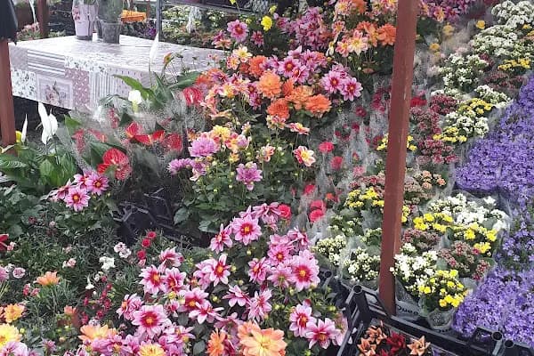 Bayındır Çiçek Pazarı - Çiçek Toptancısı - İzmir Bayındır