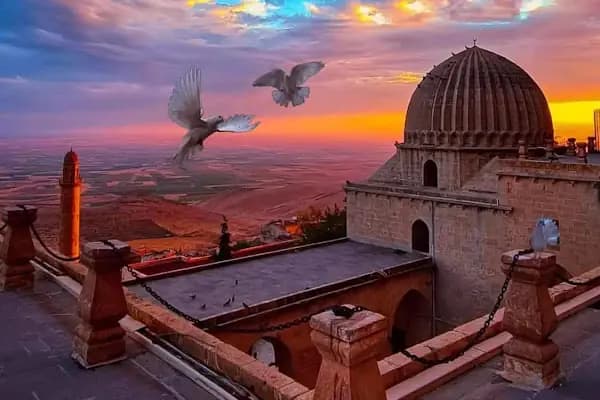 Altunkaya - Kurumsal Ofis - Gaziantep Nizip