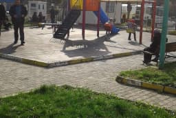 Bee Park – Oyun, Eğlence ve Keşif Burada!
