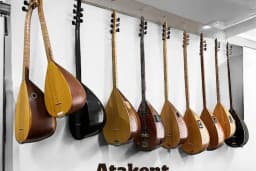 Atakent Arya Emrah Oymak Müzik Okulu