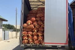 Neidhardt Geri Dönüşüm Sistemleri