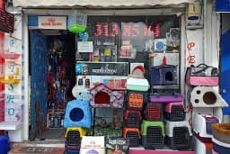 petshop tarçın