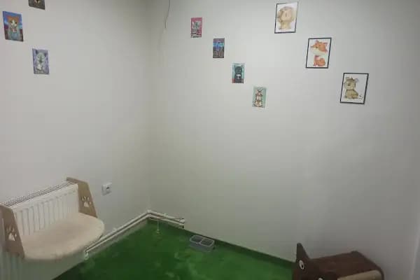 Van Tarçın Pet Veteriner Kliniği - Veteriner - Van Erciş
