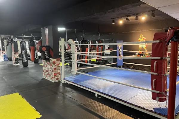 Diyarbakır Fight Club - Spor Kulübü - Diyarbakır Bağlar