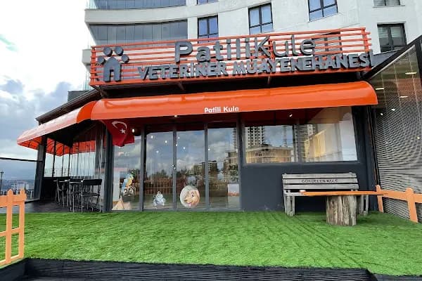 Patili Kule Veteriner Muayenehanesi - Veteriner - Samsun Alaçam