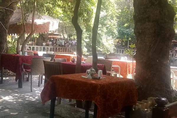 Birecik Birds Watching point..🦉🕊💙🇹🇷 - Kuş Gözlem Alanı - Şanlıurfa Haliliye