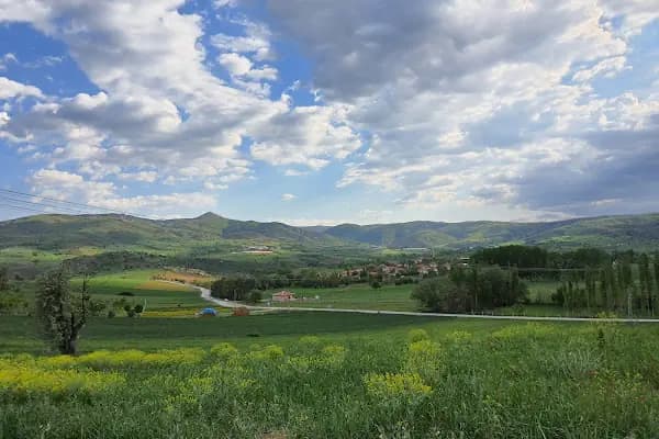 Kozayağı - Yerleşim Yeri - Ankara Akyurt
