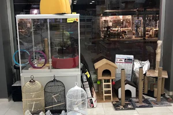 Rüzgar Petshop - Evcil hayvan mağazası - İstanbul Sultangazi