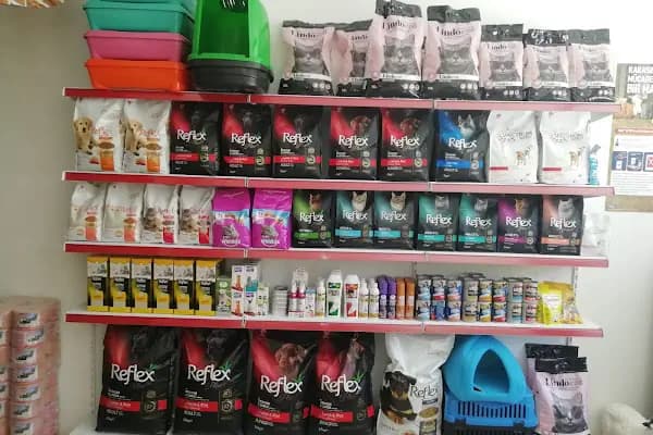 VETPLUS VETERİNER KLİNİĞİ - Veteriner - Gaziantep Şahinbey
