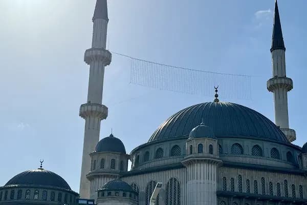 ÇÖZÜM DÖVİZ ALTIN TİCARETİ A.Ş - Finans Kurumu - İstanbul Arnavutköy