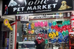 Noble Petshop ve akvaryum