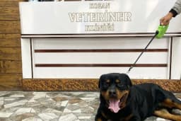 KOZAN VETERİNER KLİNİĞİ