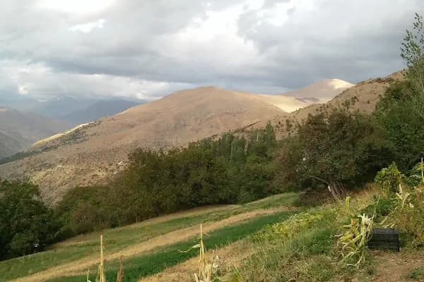 Doğa Koruma Alanı