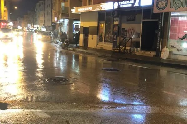 Yeğenler Veteriner Muayenehanesi - Veteriner - Bursa Gürsu