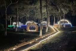 büyükada glamping