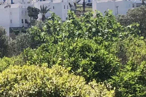 Akyarlar Bodrum Minibüs Durağı - Ulaşım Hizmeti - Muğla Bodrum
