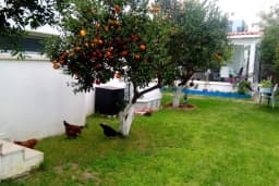 Ege Park Villaları