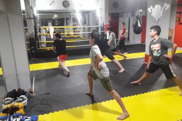 Viking Spor Okulu - Spor salonu - Adana Çukurova