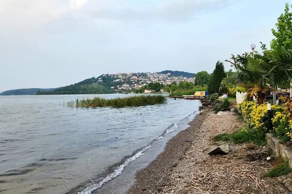 Sapanca Belediyesi Düğün Salonu - Düğün Salonu - Sakarya Sapanca