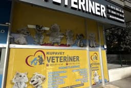 Kupavet Veteriner Kliniği ACİL BAHÇELİEVLER