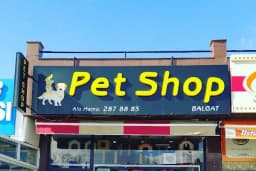 BALGAT PETSHOP ALO MAMA