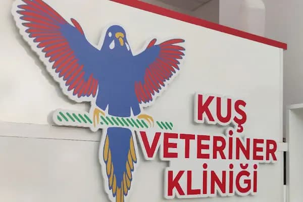 Kuş Veteriner Kliniği - Veteriner - İzmir Buca